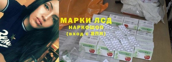 гидра Аркадак