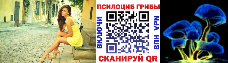 ОМГ ОМГ   Тутаев  Галлюциногенные грибы мухоморы  сколько стоит 